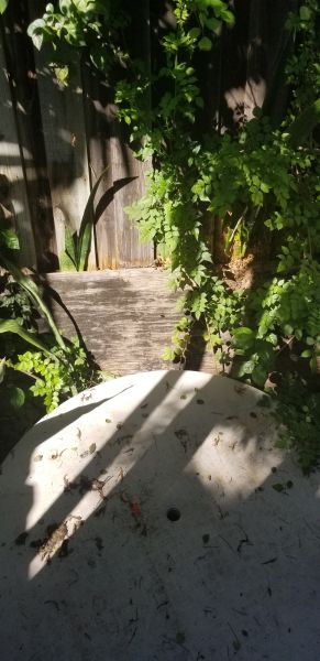 20191028_150248.jpg