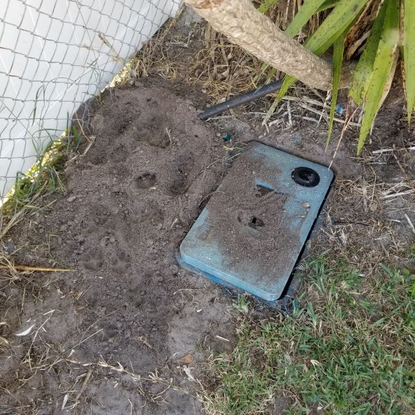 20191203_134934.jpg