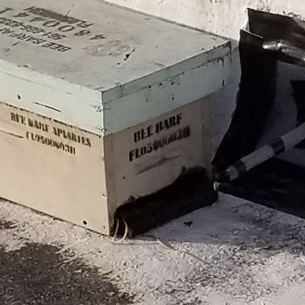 20191217_162707.jpg