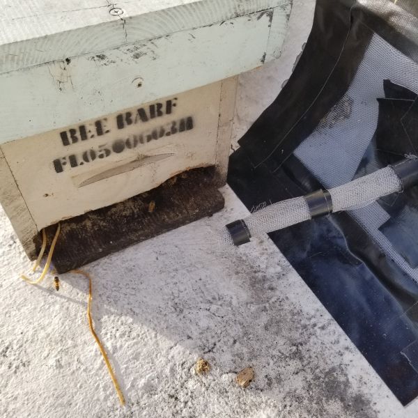 20191217_162725.jpg