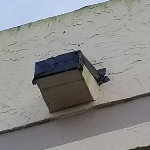 20191217_163627.jpg