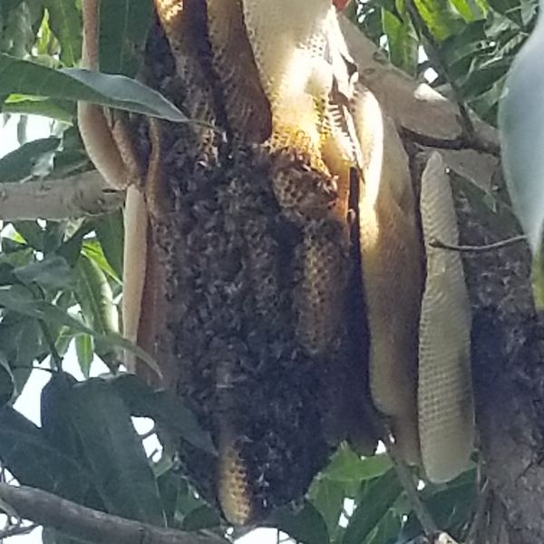 20191223_125657.jpg