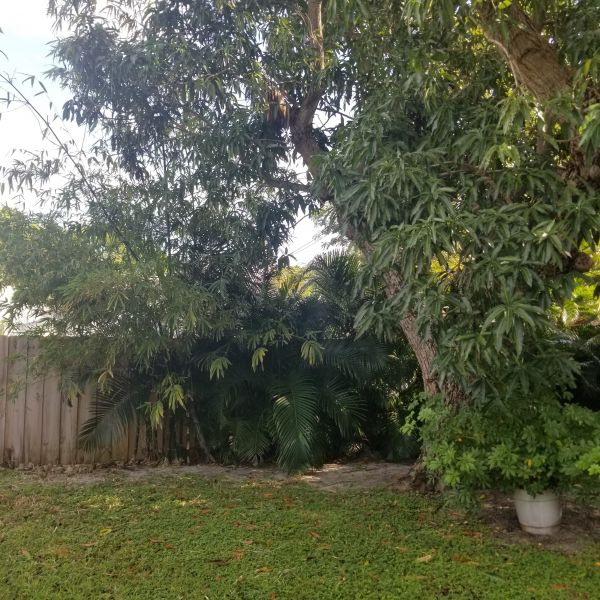 20191223_125710.jpg