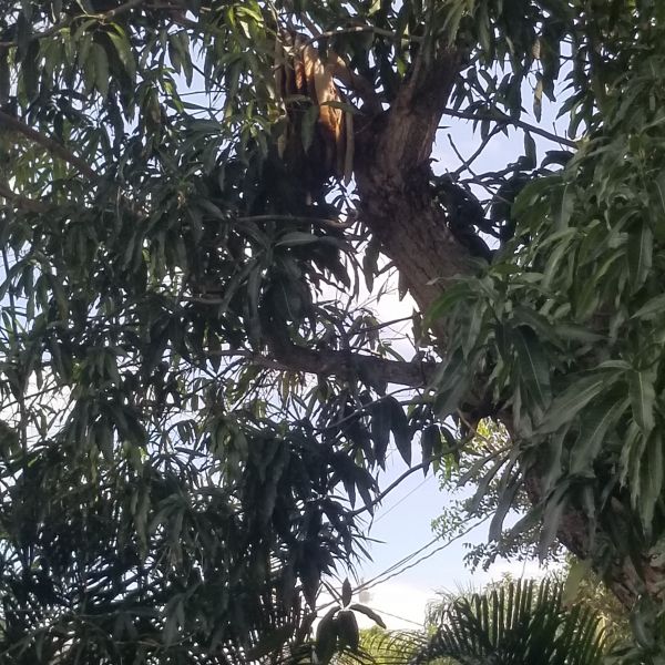 20191223_125715.jpg
