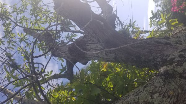 2020-06-09_18_00_49.jpg