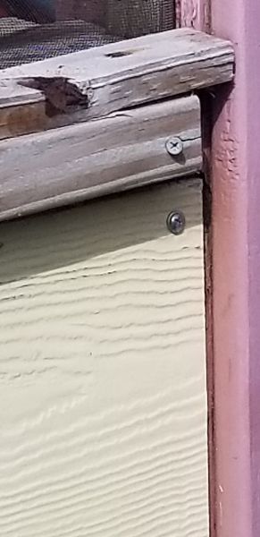 20200317_160402.jpg