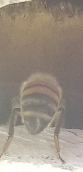 20200317_160425.jpg