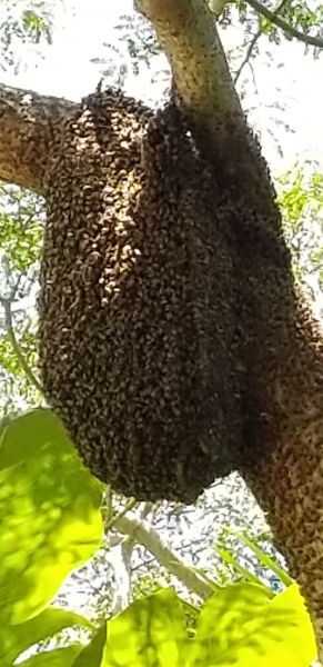 20200505_134043.jpg