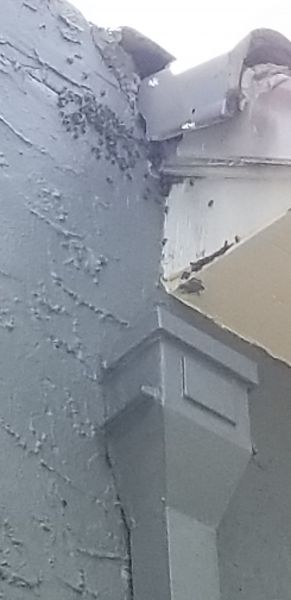 20200511_114739.jpg