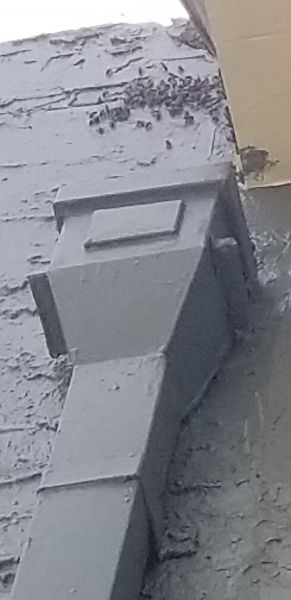 20200511_114806.jpg