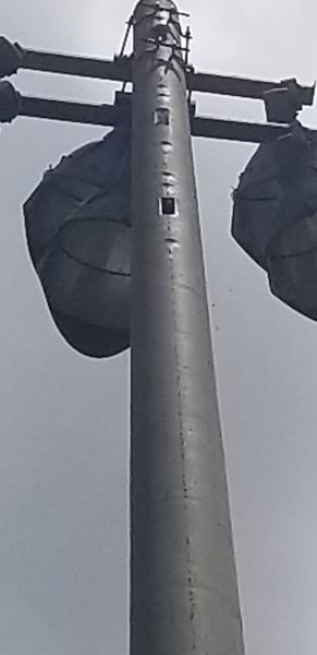 20200513_134419.jpg
