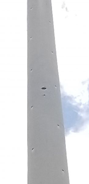 20200513_141615.jpg
