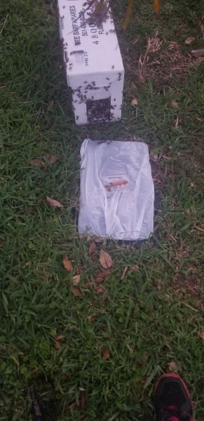 20200513_201233.jpg