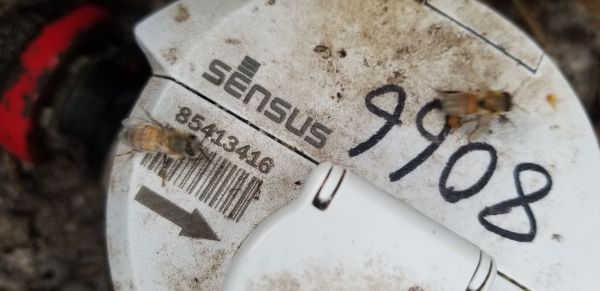 20200529_193536.jpg