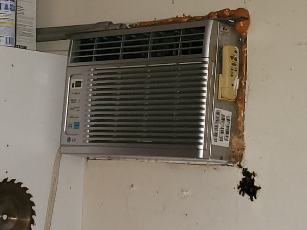 20200615_195553.jpg