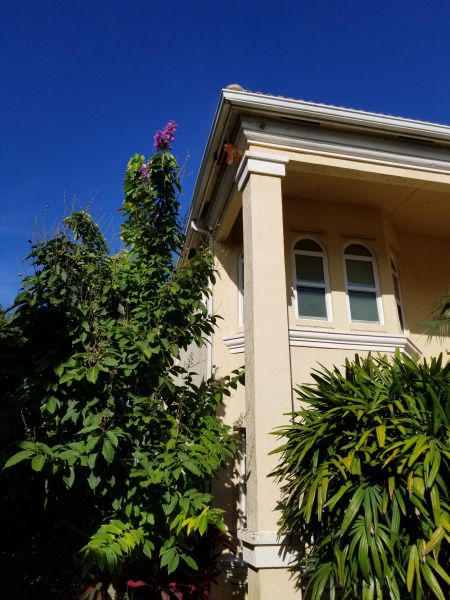 20200818_173525.jpg