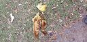 20181127_123035.jpg