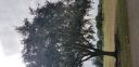 20181127_123141.jpg