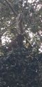 20181127_123203~0.jpg