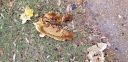 20181127_123415.jpg