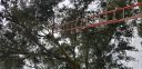 20181127_133033.jpg