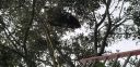 20181127_133042.jpg