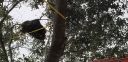 20181127_133050.jpg