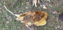 20181127_142015.jpg