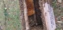 20181127_143150.jpg
