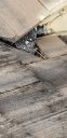 Filename=20190128_135538.jpg
Filesize=766KiB
Dimensions=1960x4032
Date added=Jan 28, 2019 20190128_135538.jpg