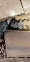 Filename=20190128_135633.jpg
Filesize=994KiB
Dimensions=1960x4032
Date added=Jan 28, 2019 20190128_135633.jpg