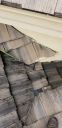 Filename=20190128_135736.jpg
Filesize=1864KiB
Dimensions=1960x4032
Date added=Jan 28, 2019 20190128_135736.jpg
