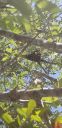 20190528_161947.jpg