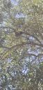 20190528_162001.jpg
