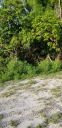 20190619_072914.jpg