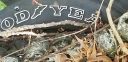 20190619_073012.jpg