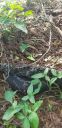 20190619_075051.jpg