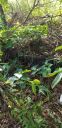 20190619_075144.jpg