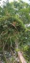 20190619_081530.jpg
