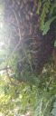 20190619_082831.jpg