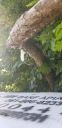 20190619_083434.jpg