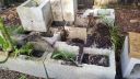 20190620_184101.jpg