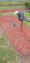 20190709_161225.jpg