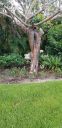 Filename=20190711_195342.jpg
Filesize=3978KiB
Dimensions=1960x4032
Date added=Jul 13, 2019 20190711_195342.jpg