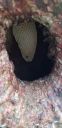 Filename=20190711_200211.jpg
Filesize=1884KiB
Dimensions=1960x4032
Date added=Jul 13, 2019 20190711_200211.jpg