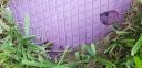 Filename=20190715_195218.jpg
Filesize=2400KiB
Dimensions=4032x1960
Date added=Jul 16, 2019 20190715_195218.jpg