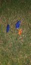 Filename=20190715_203404.jpg
Filesize=2742KiB
Dimensions=1960x4032
Date added=Jul 16, 2019 20190715_203404.jpg