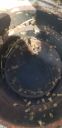 Filename=20190717_113255.jpg
Filesize=2017KiB
Dimensions=1960x4032
Date added=Jul 17, 2019 20190717_113255.jpg