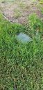 20190718_090637.jpg
