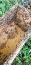 20190718_092044.jpg